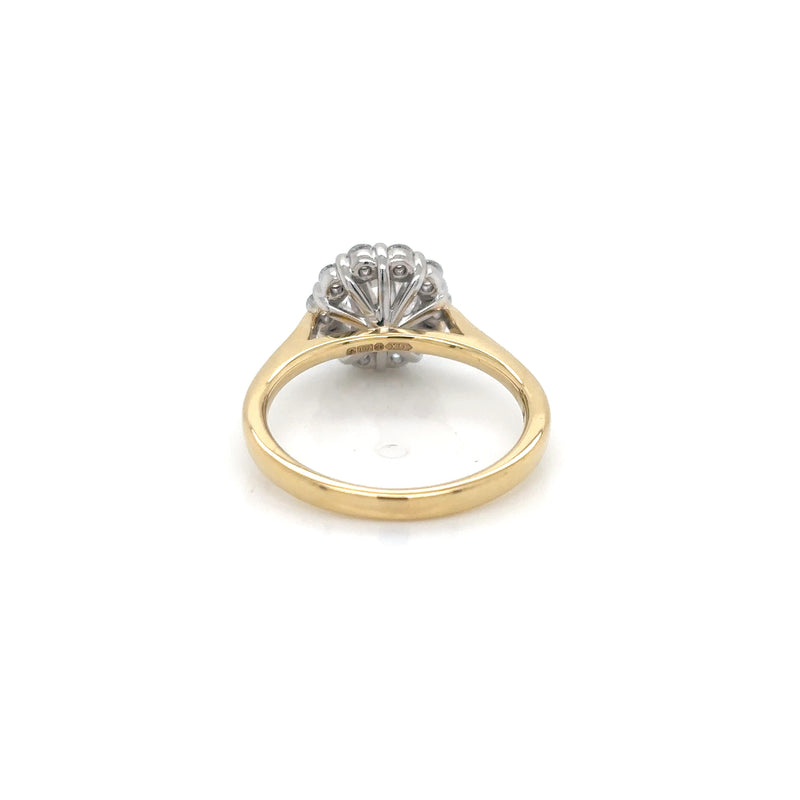18ct Yellow Gold and Platinum Diamond Halo Ring