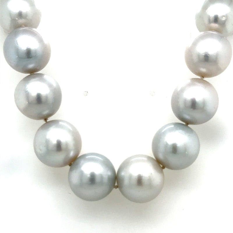 South Sea Pearl Strand