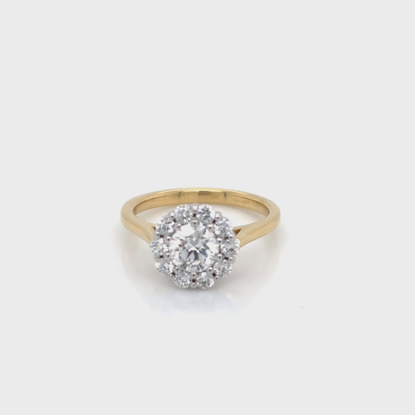 18ct Yellow Gold and Platinum Diamond Halo Ring